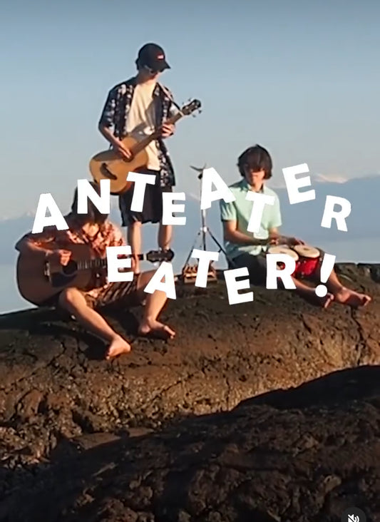 WED OCT 29: ANTEATER EATER / L’AMOUR / MUPPET BOYS